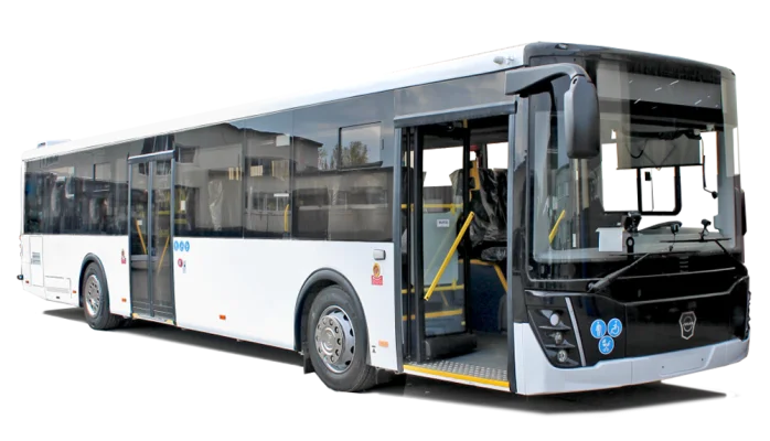 CITYMAX 12